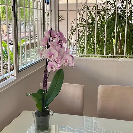 Apartamento Con Gran Terraza Jardin Cerca Del Centro דירה *